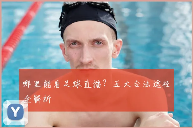 哪里能看足球直播？五大合法途径全解析