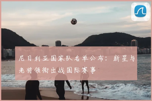 尼日利亚国家队名单公布：新星与老将领衔出战国际赛事