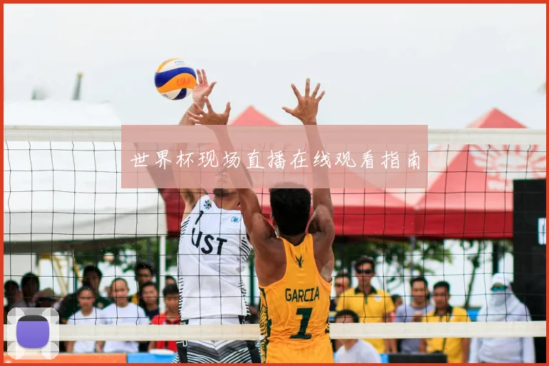 世界杯现场直播在线观看指南