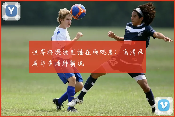 世界杯现场直播在线观看：高清画质与多语种解说
