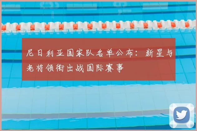 尼日利亚国家队名单公布：新星与老将领衔出战国际赛事